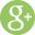 Google Plus